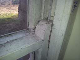 fkillineybeforeinternal 1285.jpg